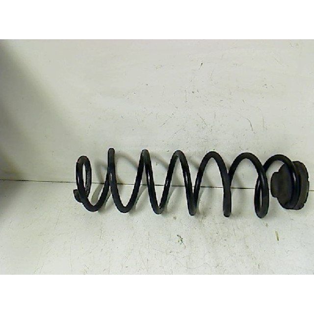 Muelle helicoidal trasero intercambiable Volkswagen Polo (9N1/2/3) (2004 - 2005) Hatchback 1.4 16V (BKY)