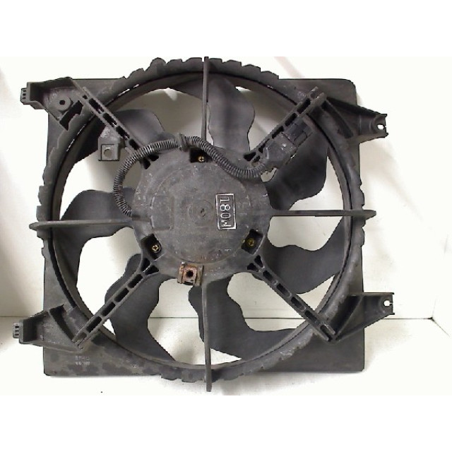 Motor del ventilador Hyundai Santa Fe II (CM) (2006 - 2009) SUV 2.2 CRDi 16V 4x2 (D4EB)