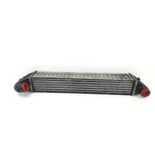 radiador intercooler Seat Alhambra (7V8/9) (2001 - 2010) MPV 1.9 TDi 4 Motion 115 (AUY)