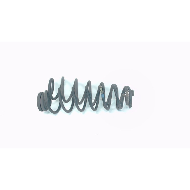Muelle helicoidal trasero intercambiable Volkswagen Polo IV (9N1/2/3) (2001 - 2009) Hatchback 1.9 SDI (ASY)