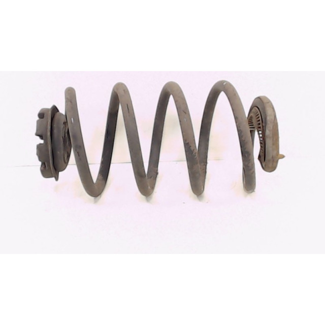 Muelle helicoidal trasero intercambiable Renault Clio III (BR/CR) (2005 - 2012) Hatchback 1.2 16V 75 (D4F-D740)
