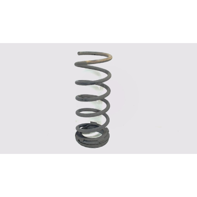 Muelle helicoidal trasero intercambiable Fiat Panda (169) (2010 - 2013) Hatchback 1.2, Classic (169.A.4000(Euro 5))