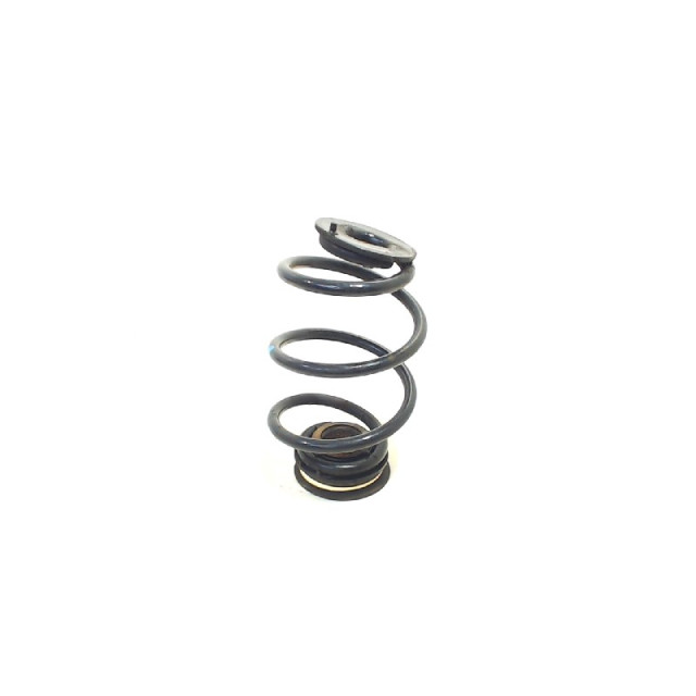 Muelle helicoidal trasero intercambiable Renault Twingo II (CN) (2007 - 2014) Hatchback 3-drs 1.2 16V (D4F-772(Euro 4)