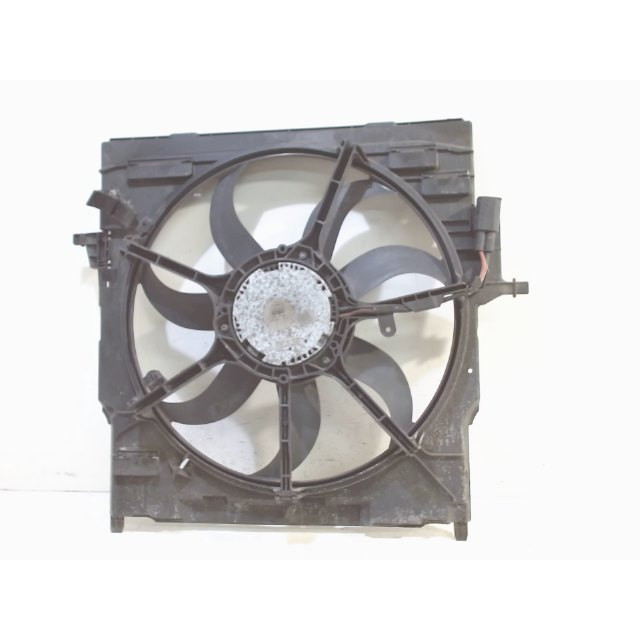 Motor del ventilador BMW X6 (E71/E72) (2008 - 2010) SAC SUV xDrive30d 3.0 24V (M57N2-D30(306D3))