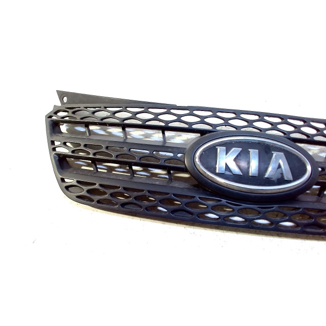 Rejilla Kia Picanto (BA) (2007 - 2011) Hatchback 1.0 12V (G4HE)