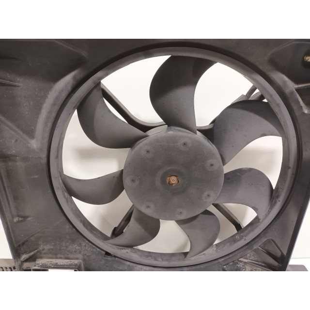Motor del ventilador Daewoo/Chevrolet Spark (M300) (2010 - 2015) Hatchback 1.0 16V Bifuel (LMT)