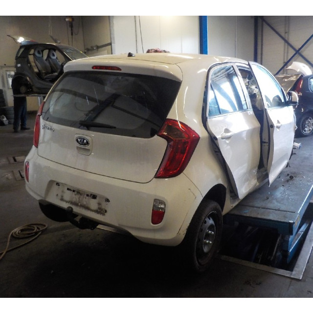 Tapa del depósito de combustible Kia Picanto (TA) (2011 - 2017) Hatchback 1.0 12V (G3LA)