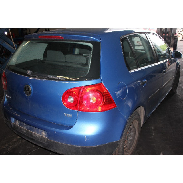 Faro trasero derecho de la puerta trasera y maletero Volkswagen Golf V (1K1) (2003 - 2008) Hatchback 1.9 TDI (BKC)