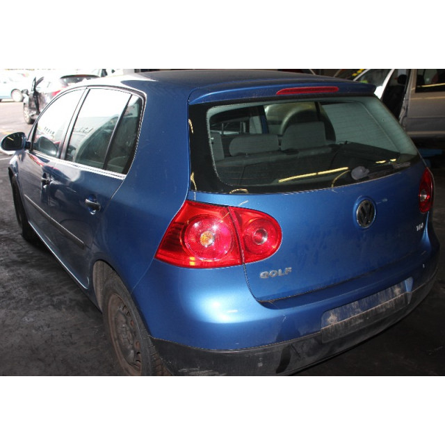 Faro trasero derecho de la puerta trasera y maletero Volkswagen Golf V (1K1) (2003 - 2008) Hatchback 1.9 TDI (BKC)