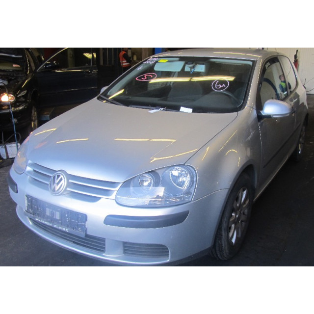 Deposito de refrigerante Volkswagen Golf V (1K1) (2003 - 2008) Hatchback 1.9 TDI (BKC)