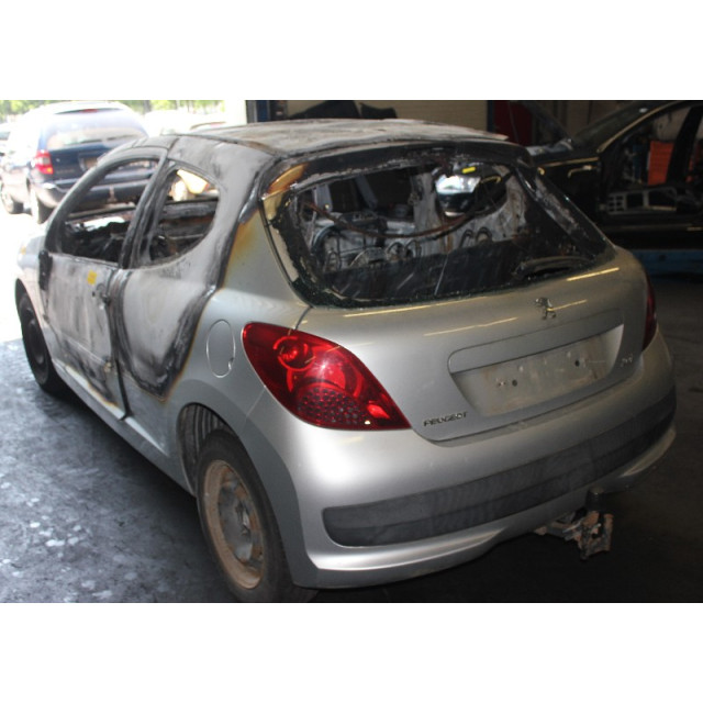 Rejilla Peugeot 207/207+ (WA/WC/WM) (2006 - 2013) Hatchback 1.4 (TU3A(KFV))