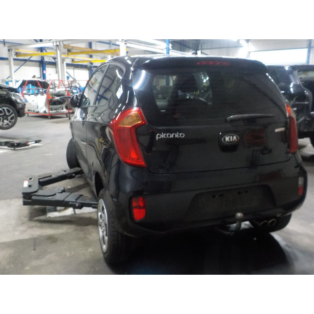 Juego de airbag Kia Picanto (TA) (2011 - 2017) Hatchback 1.0 12V (G3LA)