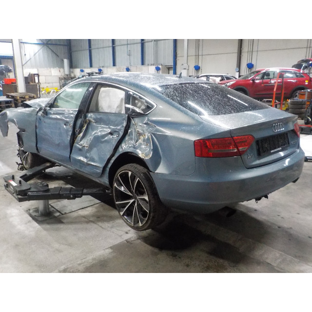 Resorte de presión de gas trasero Audi A5 Sportback (8TA) (2009 - 2014) Liftback 2.0 TFSI 16V (CDNB(Euro 5))
