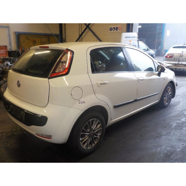 Colector de aceite Fiat Punto Evo (199) (2009 - 2012) Hatchback 1.3 JTD Multijet 85 16V (199.B.4000(Euro 5))
