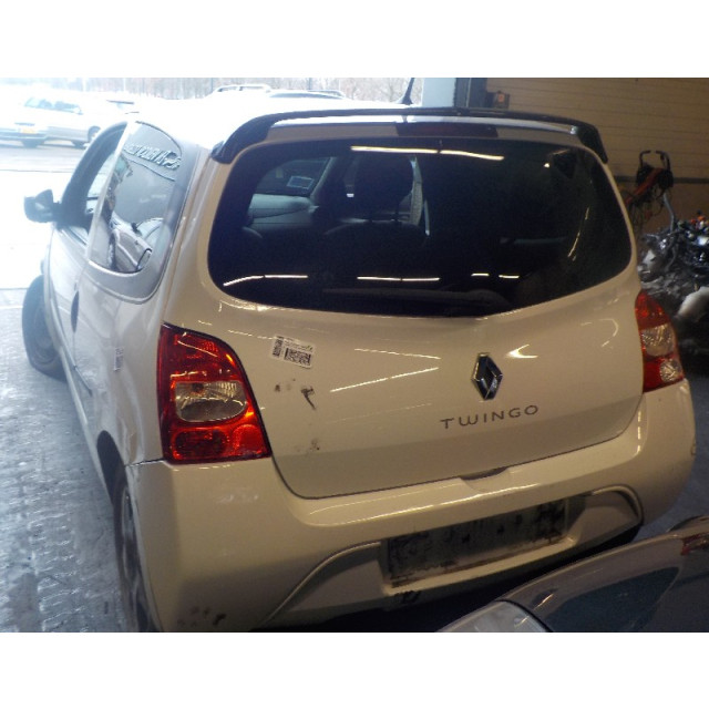 Resorte de presión de gas trasero Renault Twingo II (CN) (2007 - 2014) Hatchback 3-drs 1.2 16V (D4F-770)