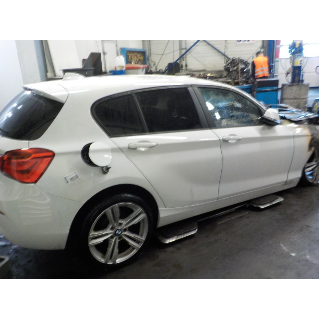 Resorte de presión de gas trasero BMW 1 serie (F20) (2015 - 2019) Hatchback 5-drs 116d 1.5 12V TwinPower (B37-D15A)