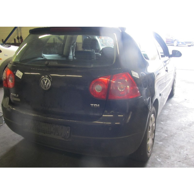 Deposito de refrigerante Volkswagen Golf V (1K1) (2003 - 2006) Hatchback 1.9 TDI (BKC)