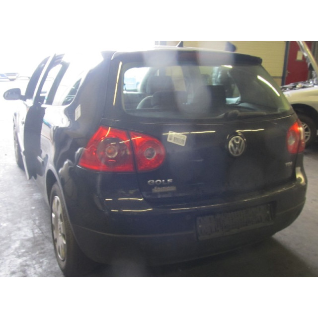 Resorte de presión de gas trasero Volkswagen Golf V (1K1) (2003 - 2006) Hatchback 1.9 TDI (BKC)