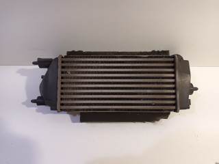 radiador intercooler Ford EcoSport (JK8) (2013 - actualidad) SUV 1.0 EcoBoost 12V 125 (M1JC(Euro 5))